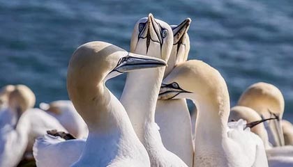 KAIYUN 中国大陆-青训教练员培训是否存在师资不足问题，教练员再教育培训