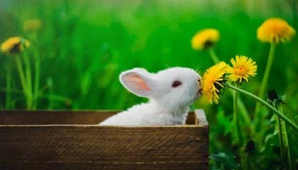 开云中国-绝地反击！强队逆转获胜续写冠军争夺历史，绝地反击上演惊天逆转