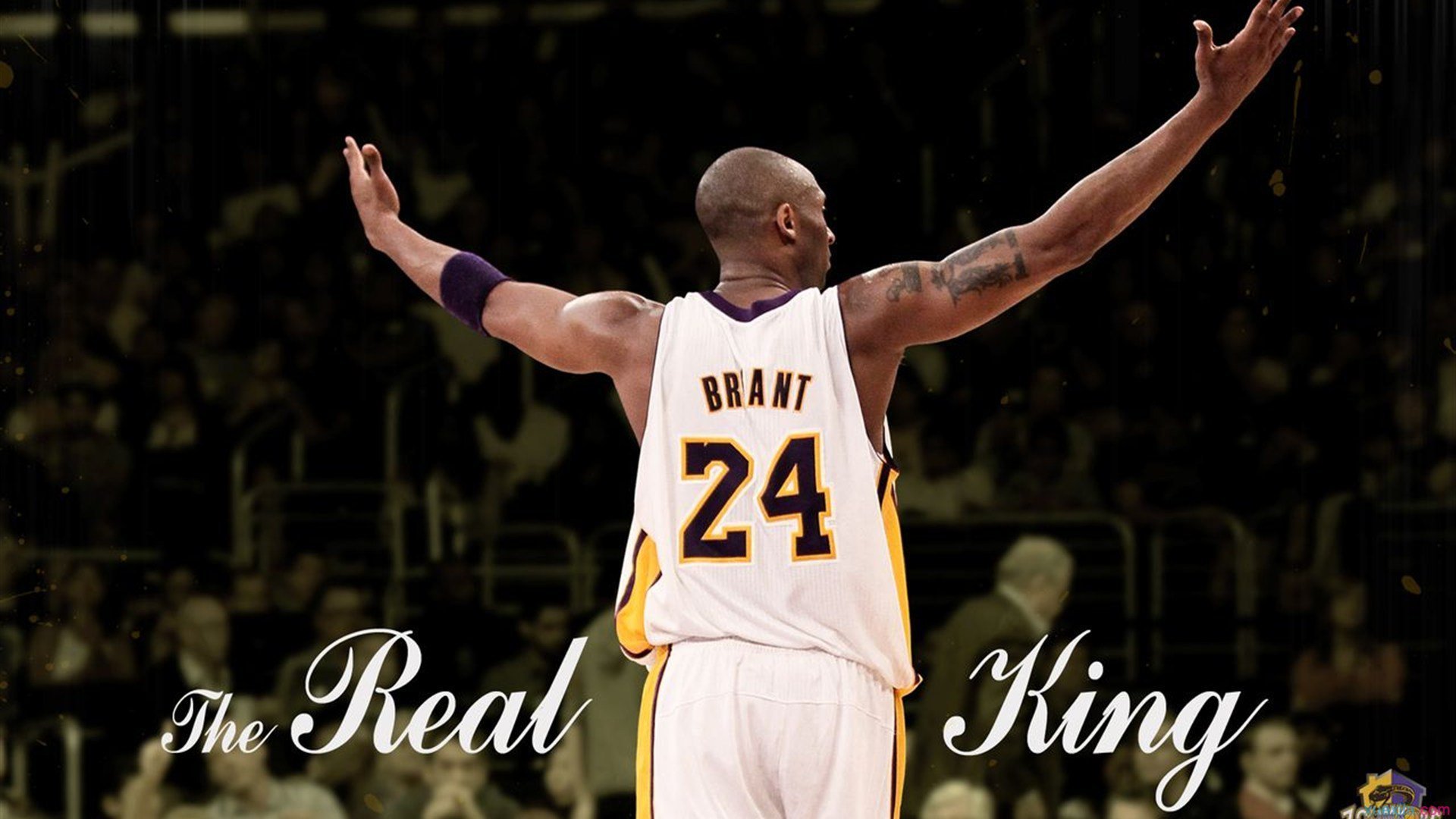 中国青少年篮球赛事标准化待推进,行业发展迎来新机遇,2020年全国青少年篮球比赛有哪些