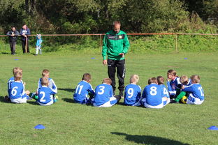 开云入口-中超赛事赛中战术调整频率，2021中超赛制详解